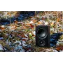 Акустическая система PSB Alpha P3, black